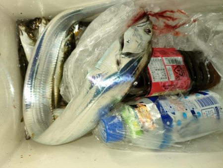 大阪で今年初！