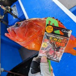 浅場の何でも狙い