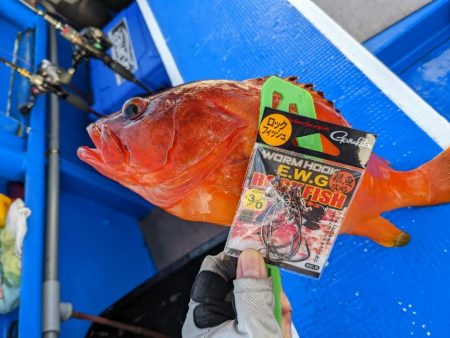 浅場の何でも狙い