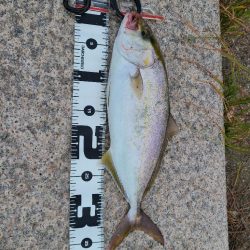 直撃前の直撃！