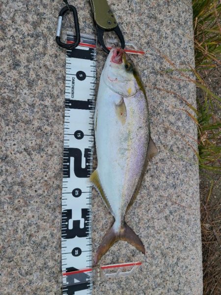 直撃前の直撃！