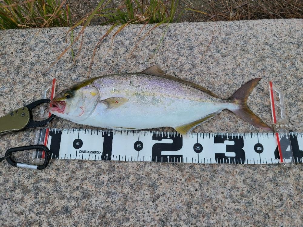 直撃前の直撃！