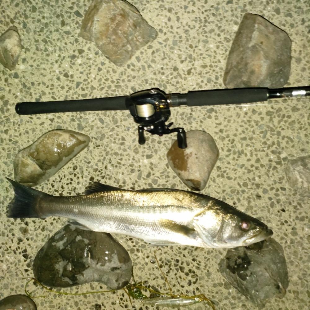 台風後の濁りで良い思い