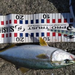 リベンジならず、、、