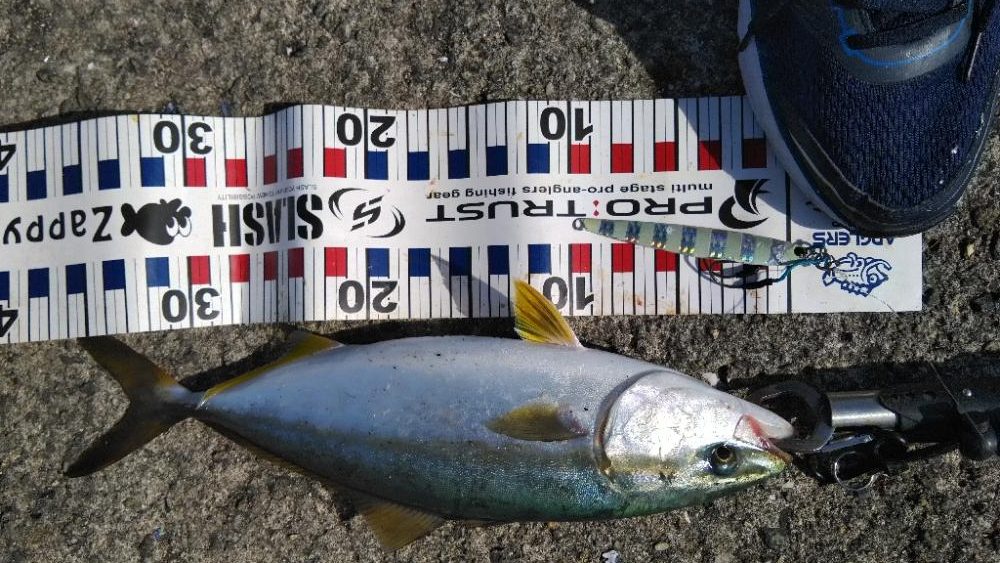 リベンジならず、、、