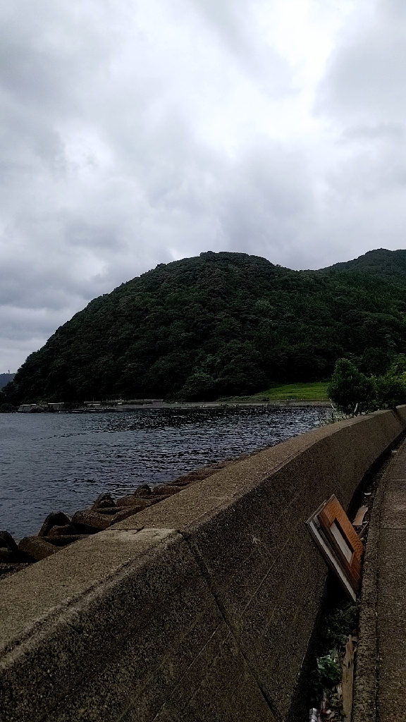 アキイカエギング