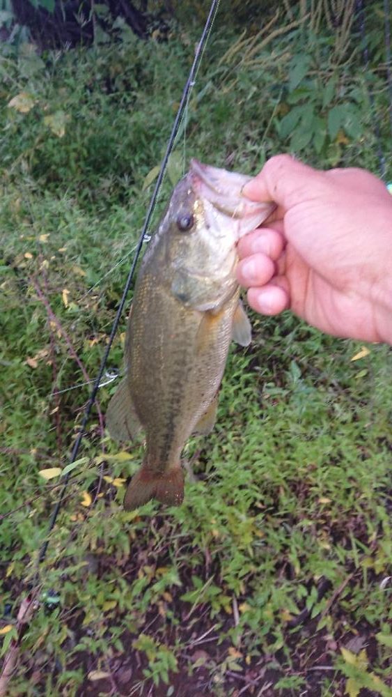 パワーフィネスで1本