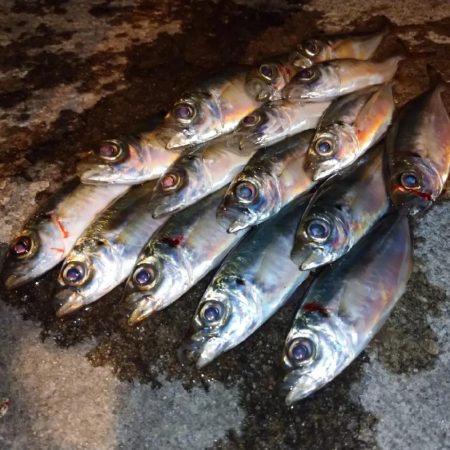 今夜はやや渋目