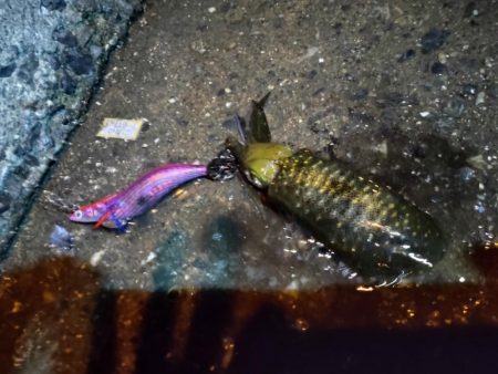 秋の夜の家族サービス