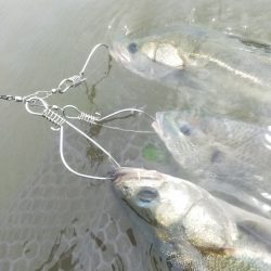 コアマンの夏デイゲーム！