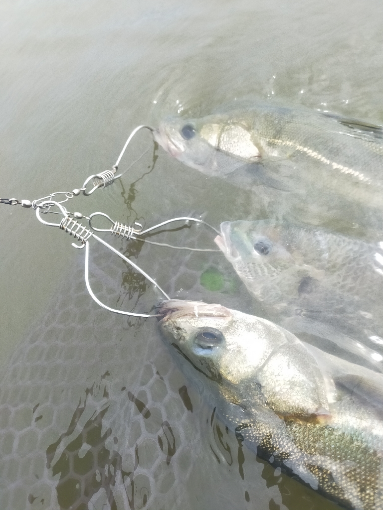 コアマンの夏デイゲーム!