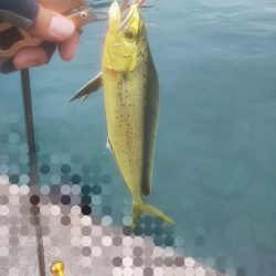 おでこ ペンペン