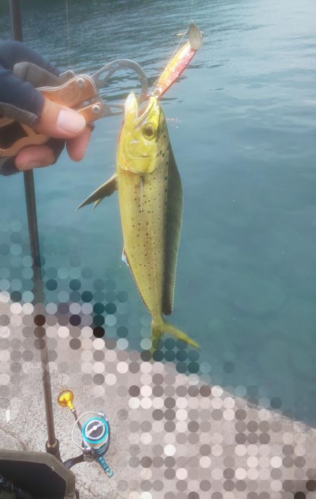 おでこ ペンペン