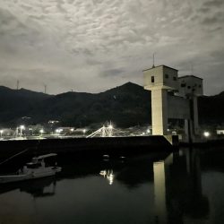 今期初エギング