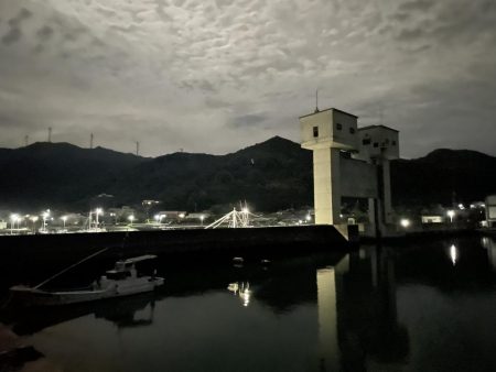 今期初エギング