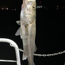 アジングタックルでシーバス