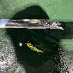 自作ルアーで太刀魚