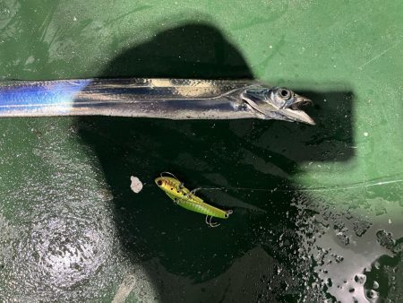 自作ルアーで太刀魚