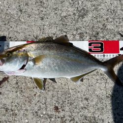 ショアジギング 間に入る時は声かけて!