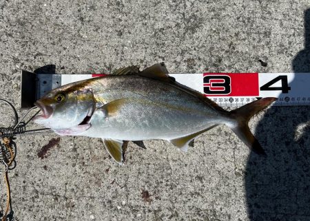 ショアジギング 間に入る時は声かけて!