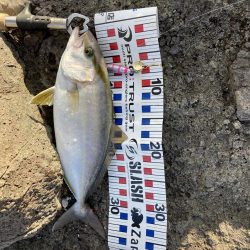 楽しませてもらいました