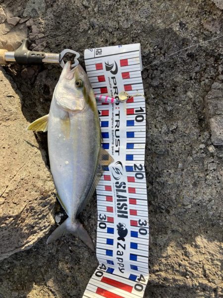 楽しませてもらいました