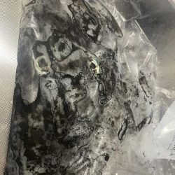 台風まえの晴天