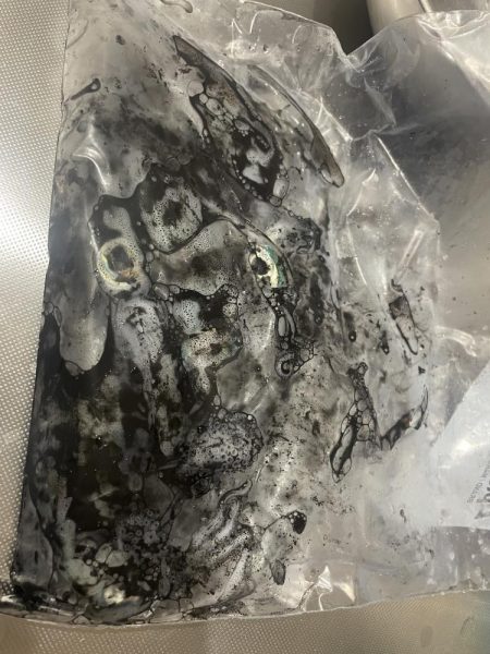 台風まえの晴天