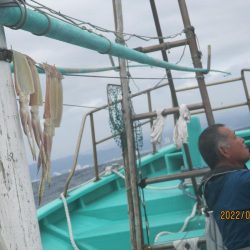 スルメイカ　黒ムツ　釣れました