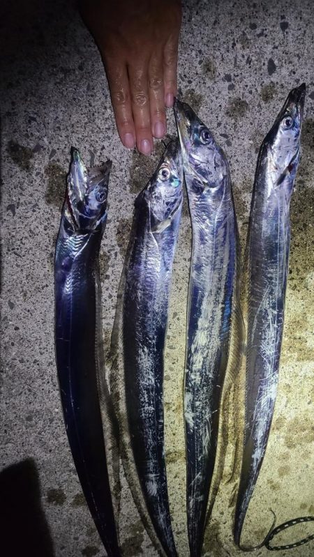 夕マヅメの時合いで