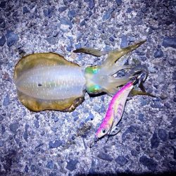 楽しめた日曜日