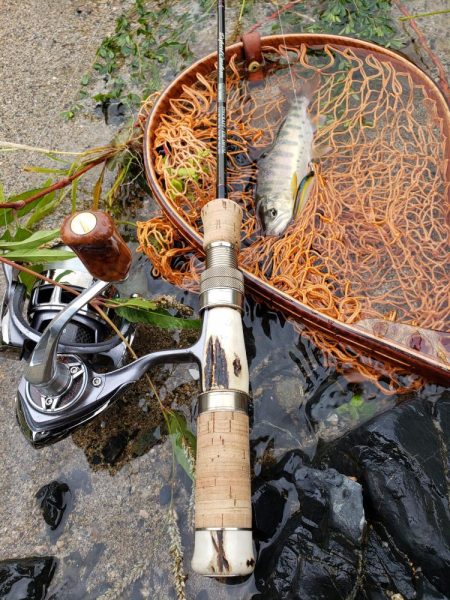 台風後を期待して