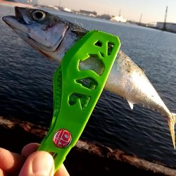 秋 まだ暑いけど(笑)