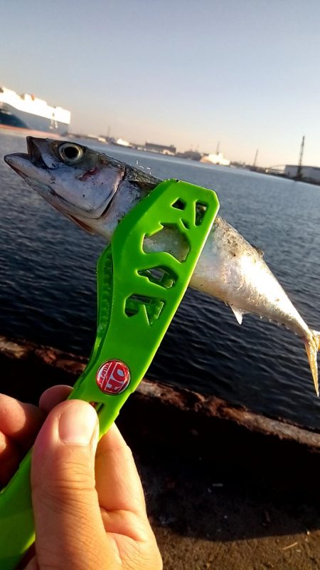 秋 まだ暑いけど(笑)