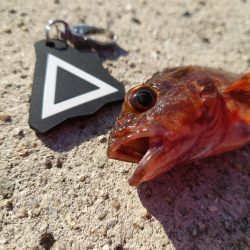 悔しいを誤魔化す