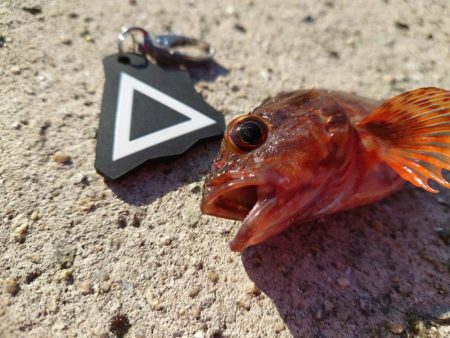 悔しいを誤魔化す