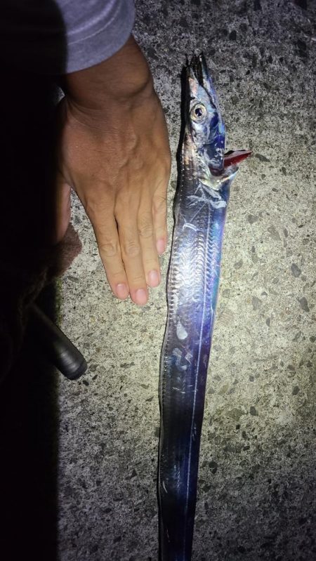 釣れるかもしれない！