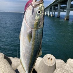 1バイト1キャッチ