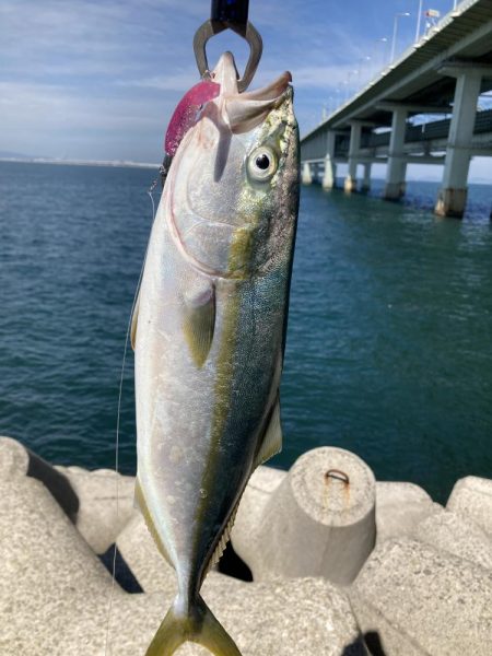 1バイト1キャッチ