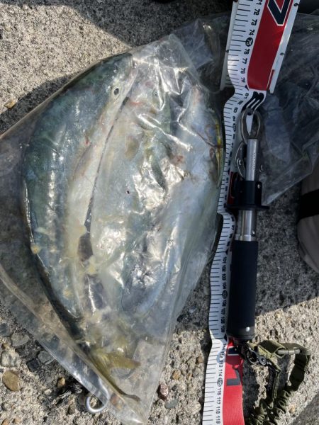 ショアジギ ング