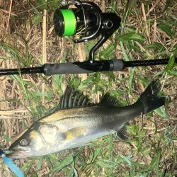 ががっときました。