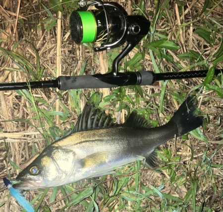 ががっときました。