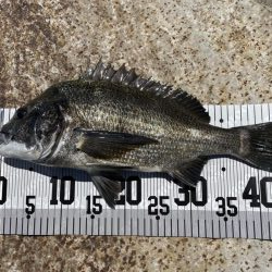 イチノ兄弟、釣果！