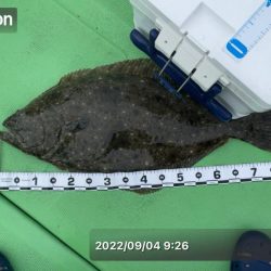 福島ヒラメジギング