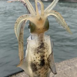 悪天候での秋開幕