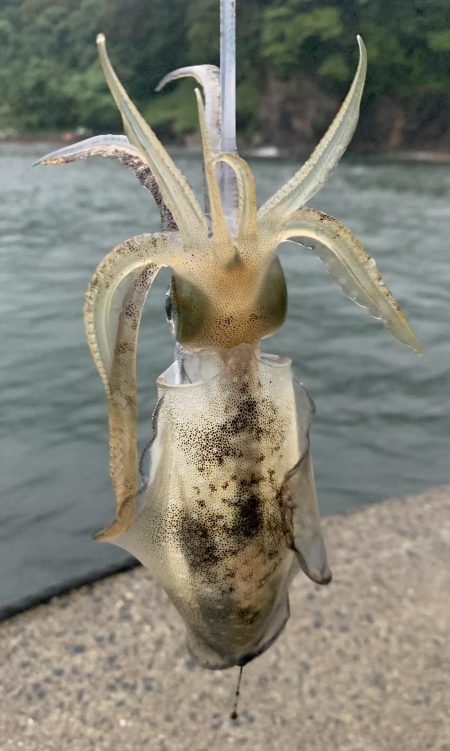 悪天候での秋開幕