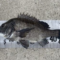 イチノ兄弟、釣果！