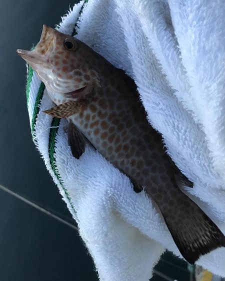 ガッシーがいない\\(//∇//)\\