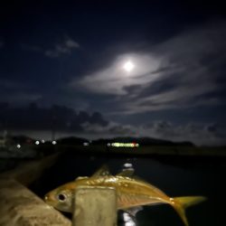 久しぶりの釣り