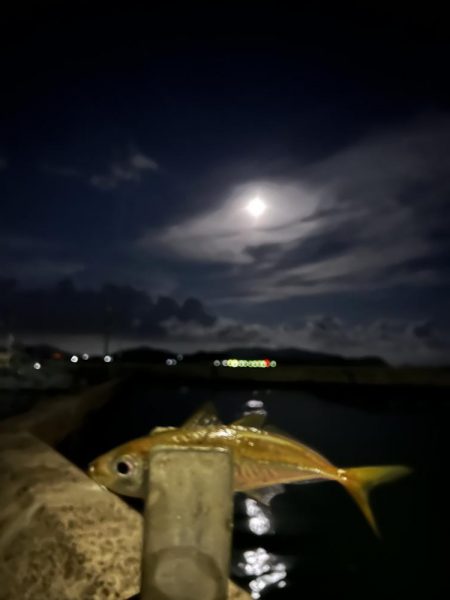 久しぶりの釣り